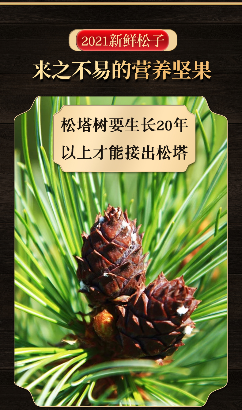 预售新货东北野生手剥开口红松子500g特大2021原味松籽特产散装大颗粒