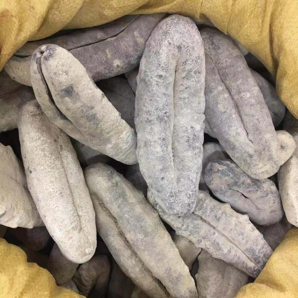 猪婆参猪母参大只参南美参梅花参虎皮参青皮参淡干海参干货813只1斤