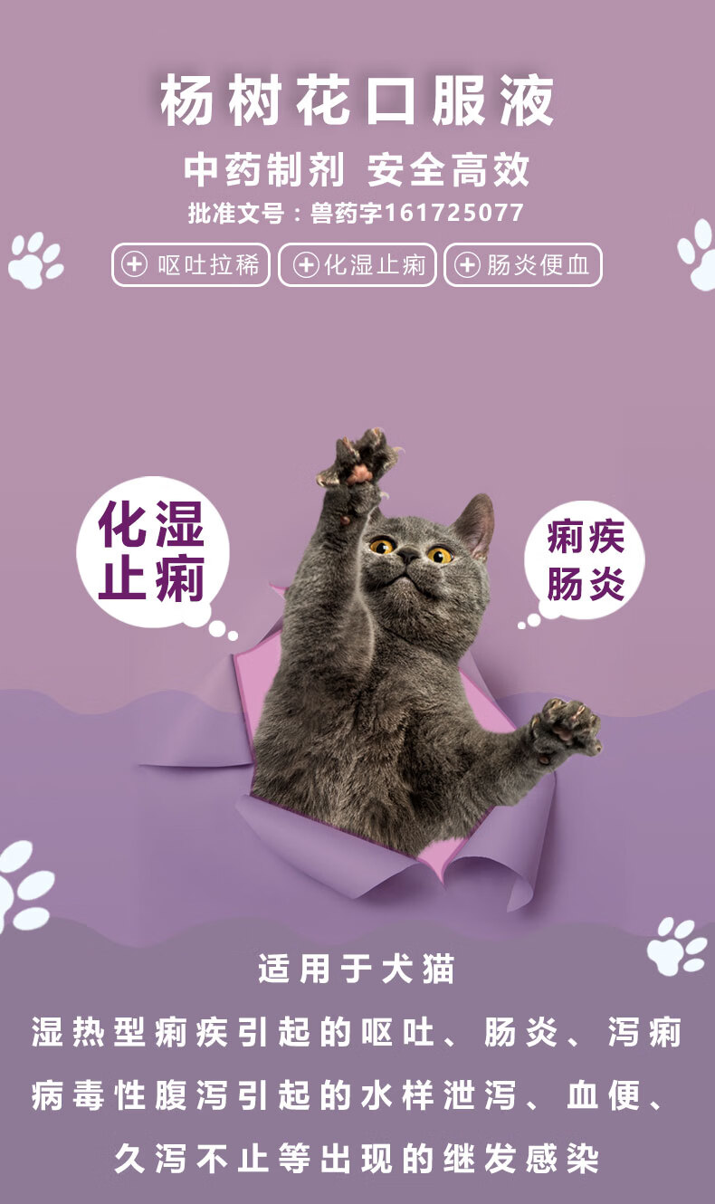 拉稀肠炎腹泻猫咪呕吐痢疾便血软便泻痢病毒性腹泻杨树花口服液30ml2