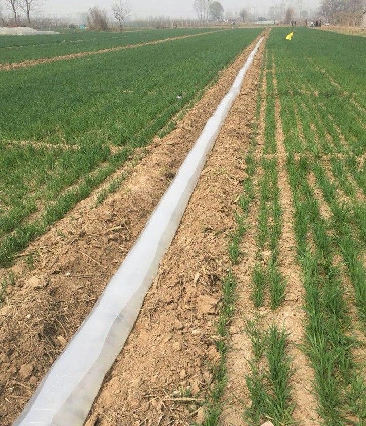 一次性浇地水带塑料水龙带垄沟灌溉水袋软管子地垄沟农用10白或兰30