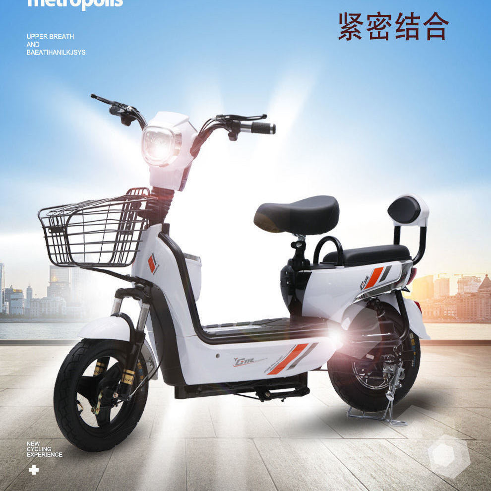 金丝猴款电瓶车锂电瓶电车踏板电车双人48v长跑两轮车 中国红 锂电瓶