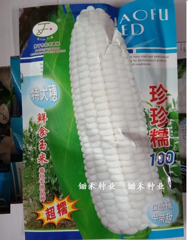 珍珍糯100玉米种子早熟鲜食玉米种籽高产大棒白甜糯玉米种珍早18 珍珍