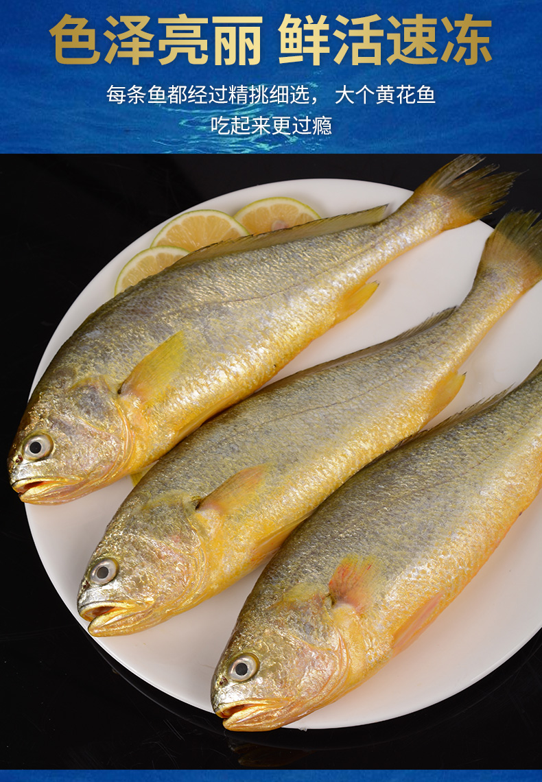 黄花鱼3斤6条海鲜新鲜冰鲜冷冻海捕鱼深海水产鲜活海鱼生鲜小黄鱼