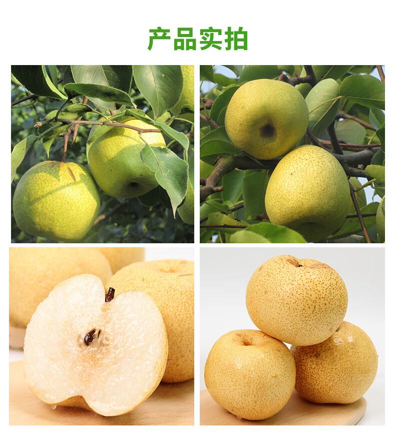 独爱(duar)【产地直发】正宗砀山梨酥梨一级大果雪梨现摘新鲜整箱