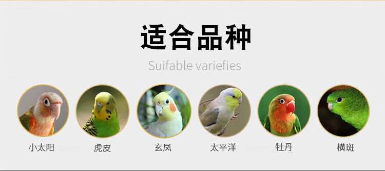 6，寵以沫【優選好物】小型鸚鵡鳥糧混郃飼料小太陽玄鳳虎皮鳥食專用糧食五 小型鸚鵡糧食 2斤裝