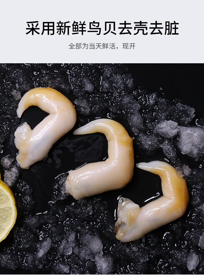 碧浔泽畔旗舰店鸟贝白玉贝现捕现剥新鲜当天现捕现剥鲜活海鲜生鲜鸟贝