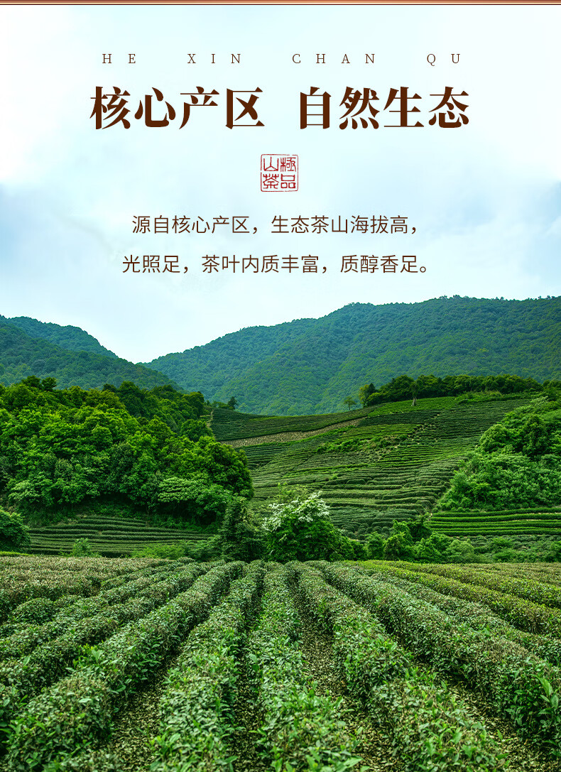 千茗语英红九号茶叶浓香型明前古树春茶英德红茶500g礼盒装【图片