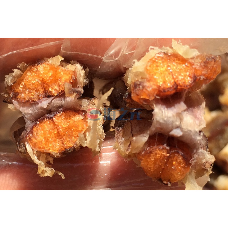 塞上烟雨(saishangyanyu) 带籽带膏琵琶虾姑全母满籽皮皮虾干濑尿虾