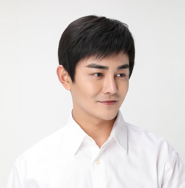 柏依诗假发男短发男士帅气中老年假发套全真发毛寸平头自然透气全头套