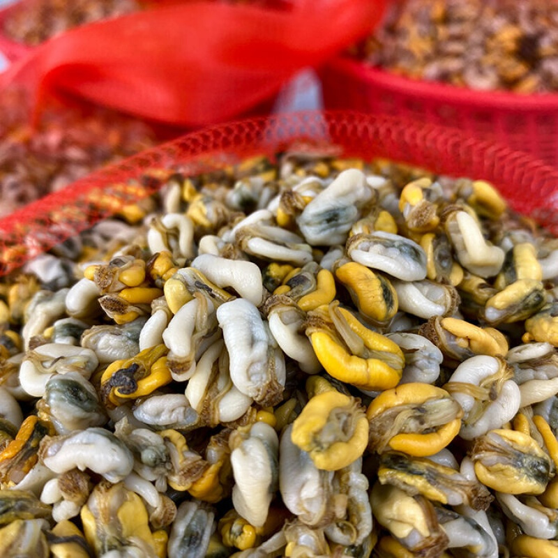 潮汕特产肌蛤薄壳米打捞当季贝类薄壳肉野生海鲜瓜子免洗即吃薄壳 250