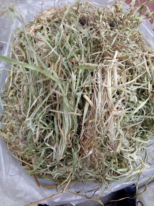 有仁堂中药材小叶肺心草肺筋草小肺筋草梅花草蛆儿草肺心草一斤年货