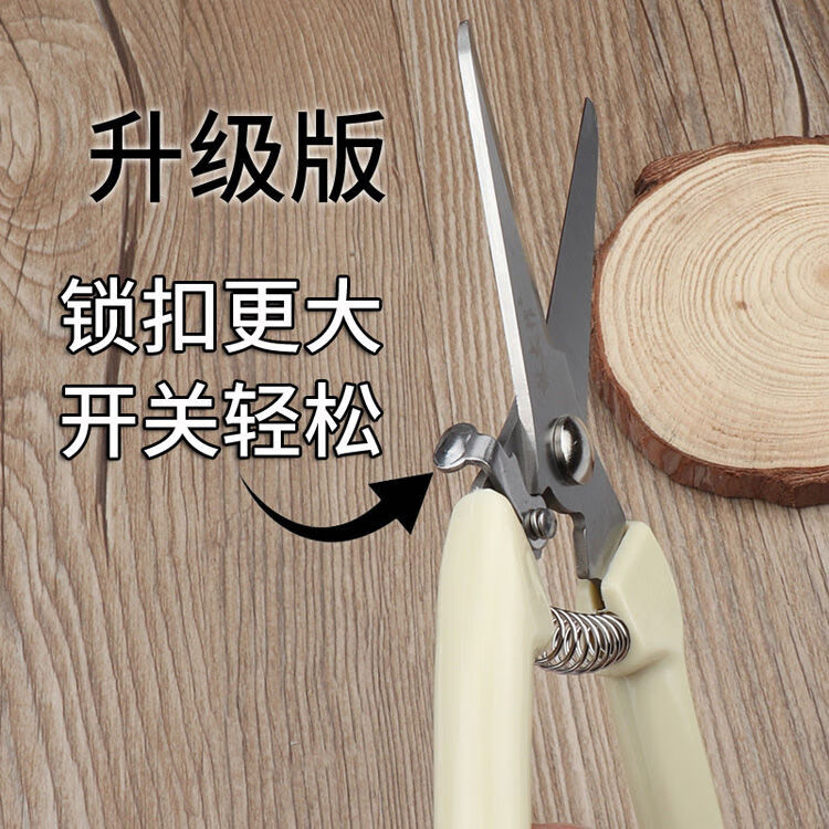 72f08e4112b555ce.jpg
