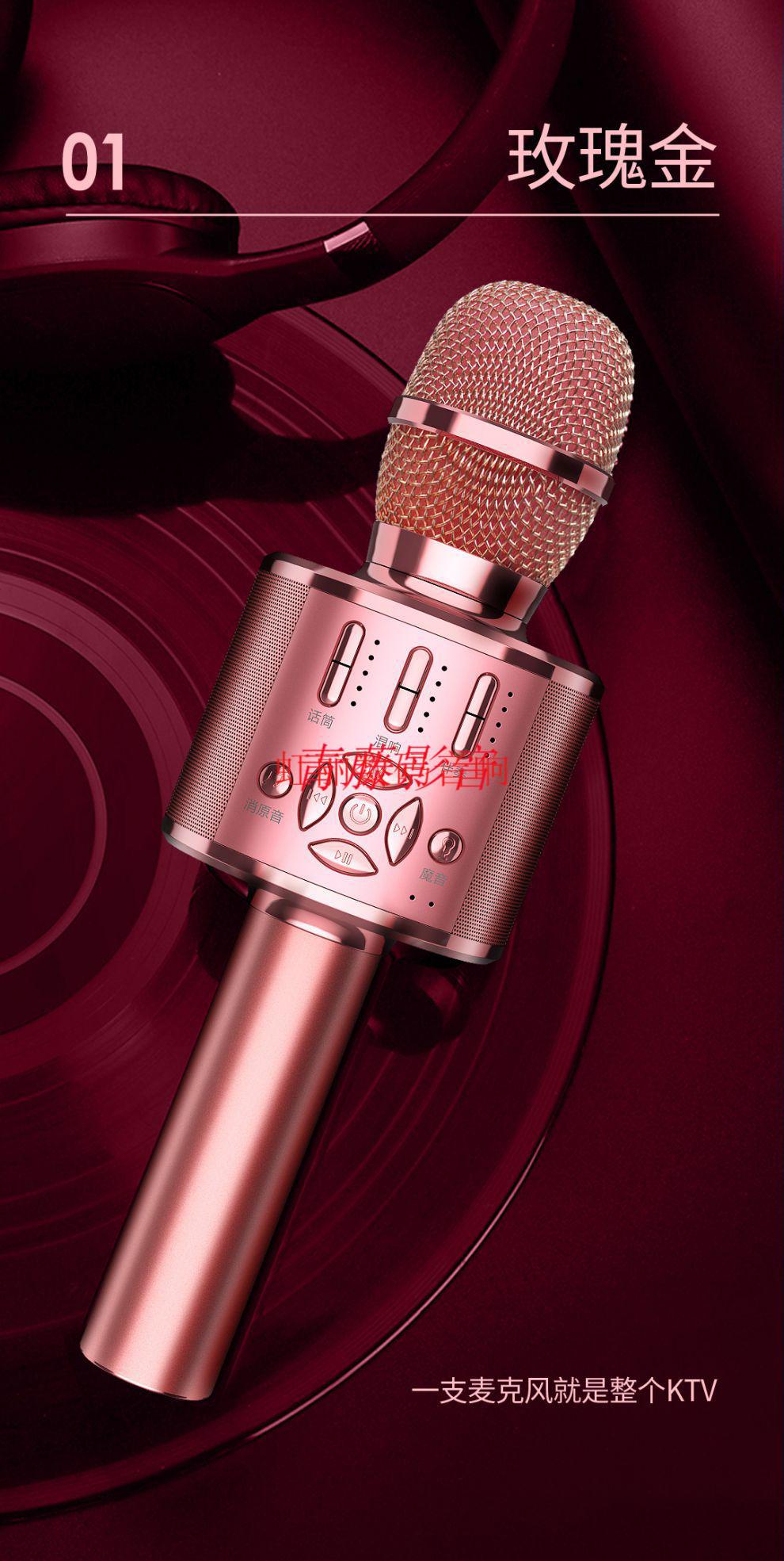 栀司带音响的麦克风 蓝牙话筒音响一体麦克风k歌家用台式电脑手机带支