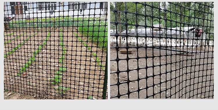 汐岩养鸡养鸭网护栏隔离网胶网围栏养殖网塑料网防护网玉米网土工格栅