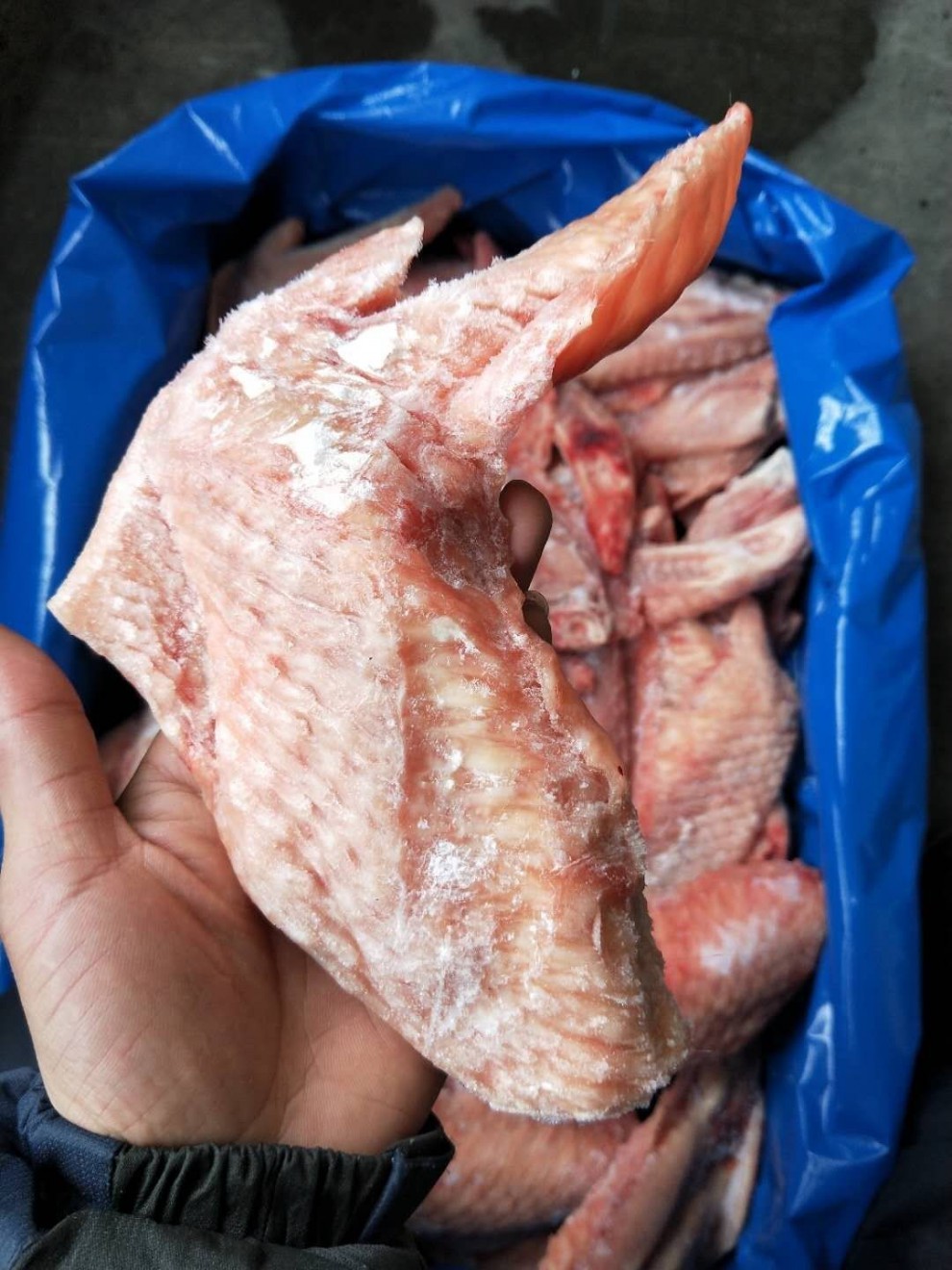 35斤新鲜火鸡翅大鸡翅火鸡翅膀冷冻火鸡二节翅整箱3斤顺丰