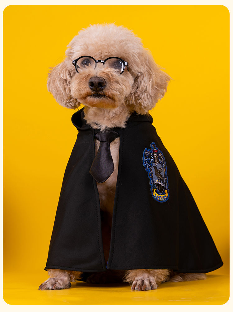 哈利波特猫咪狗狗披风哈利波特宠物斗篷泰迪小型犬魔法学院cos宠物
