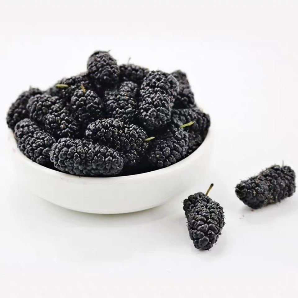 新鲜桑葚果孕妇水果特级泡酒酵素生吃鲜桑椹酒黑桑葚果子生鲜整箱装4