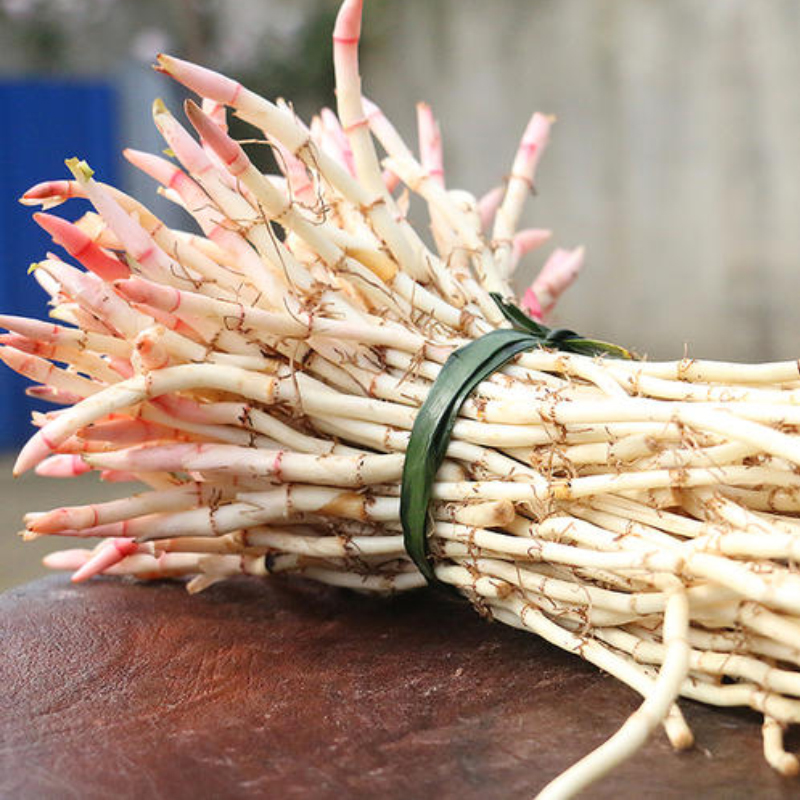 折耳根贵州特产鱼腥草新鲜野生凉拌四川节儿根节节根侧儿根2斤【图片