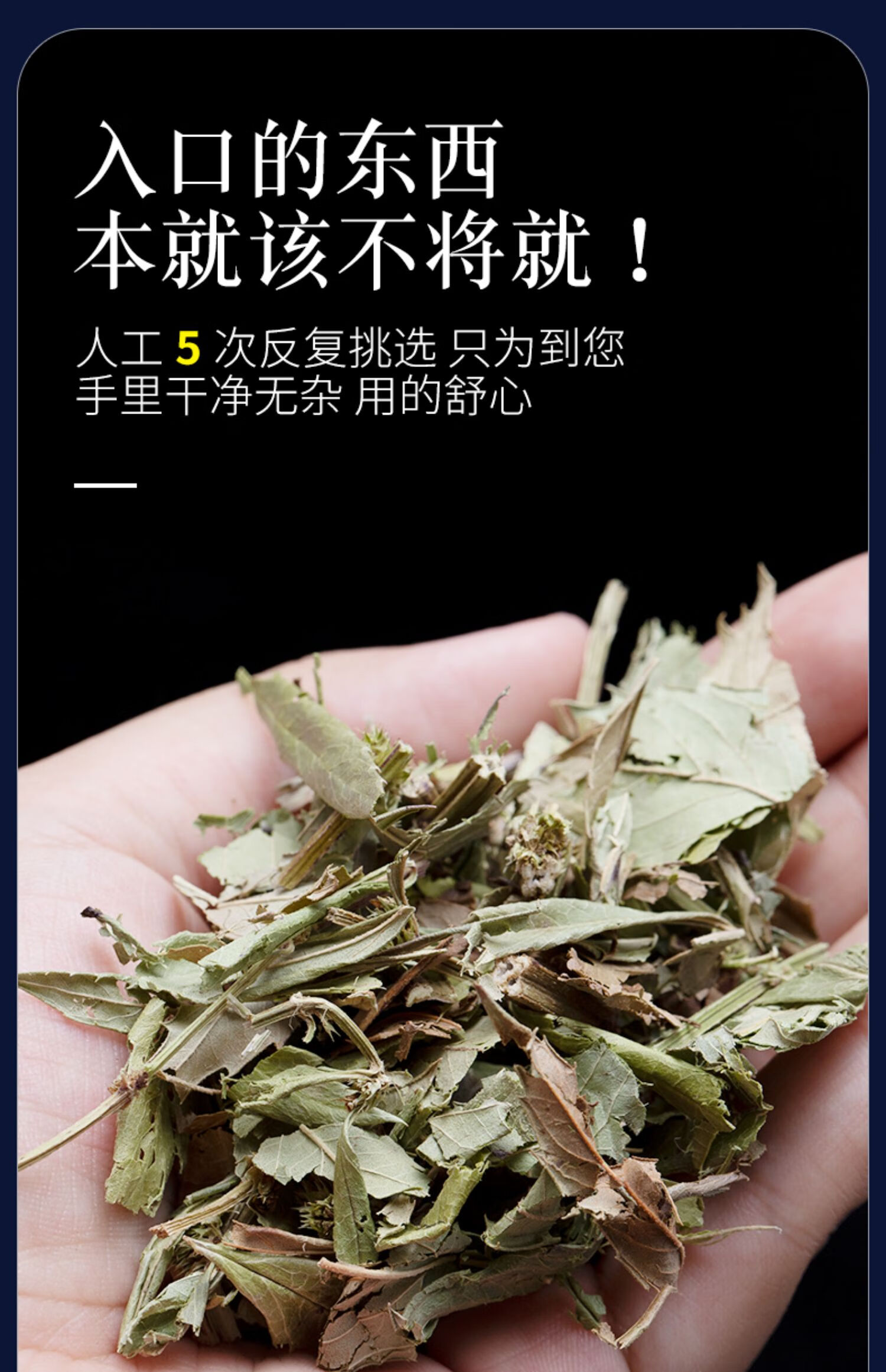 同仁堂泽兰中药250g克泽兰根罗贴巴孩儿菊地瓜儿苗地笋地石蚕蛇王草