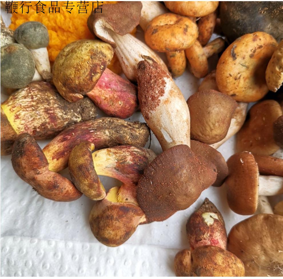 新鲜野生杂菌蘑菇10种菌以上野生松露牛肝松茸鸡枞羊肚 珍稀野生菌