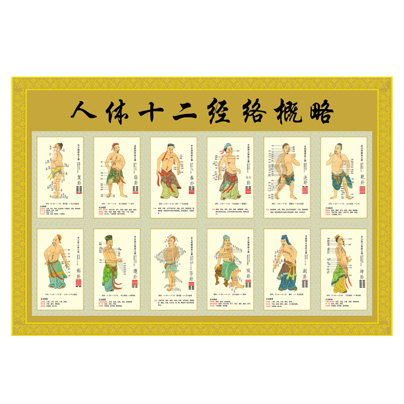 十二经络(黄) 【36寸:60x90cm】 相纸(厚/无胶)【图片