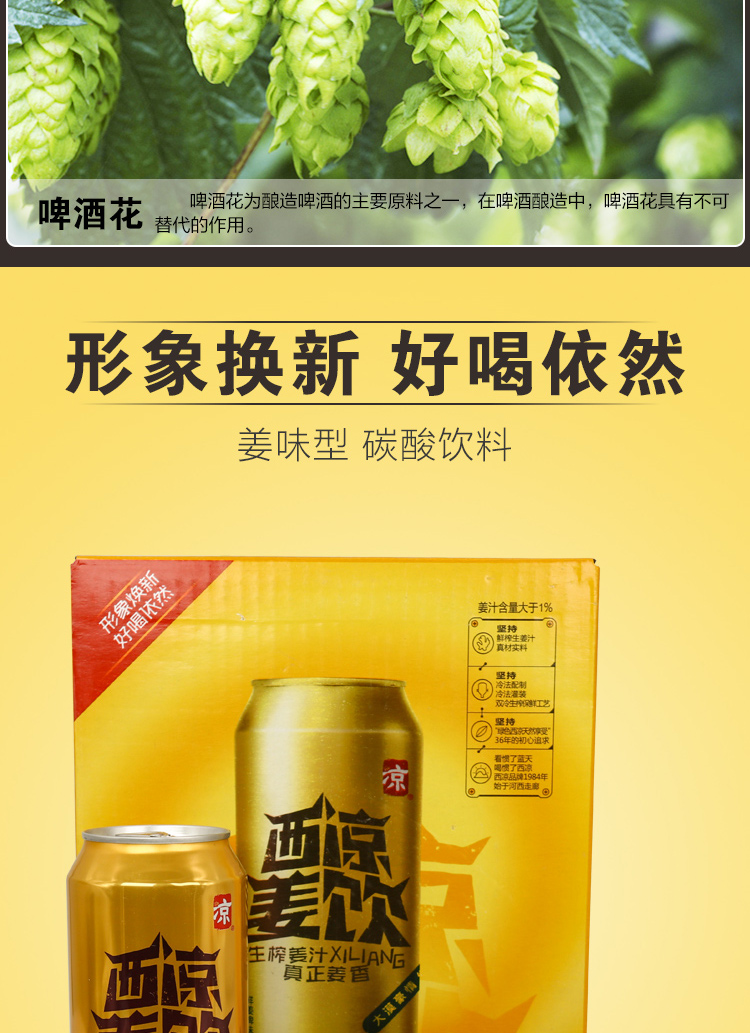 西凉姜饮甘肃武威特产姜啤无酒精碳酸姜汁饮料罐易拉罐装500ml12大