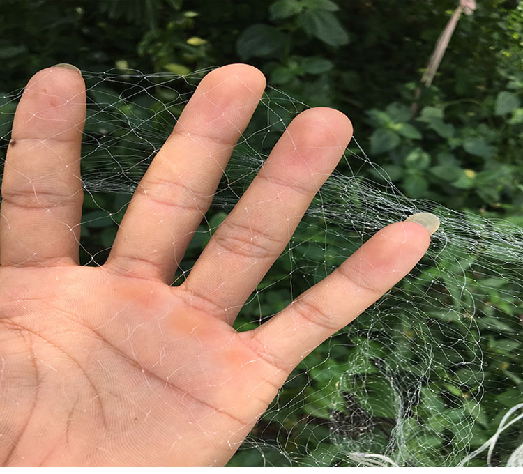 渔网单层鱼网丝网密网小白条捕小鱼眼捉鱼网捕鱼网挂网 55米长80cm高8