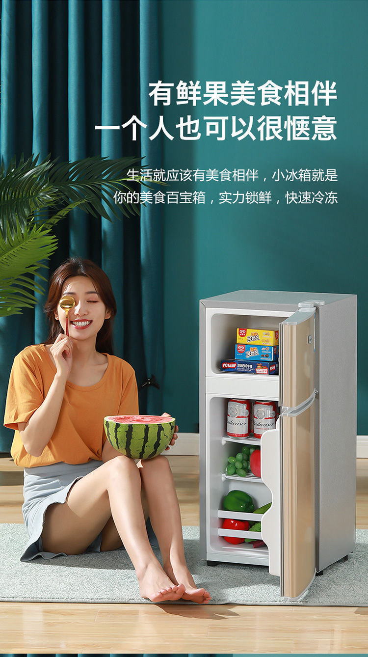 家用小型租房小冰箱冷藏冷冻双开门迷你冰箱净仑尔拉丝银118一级能效