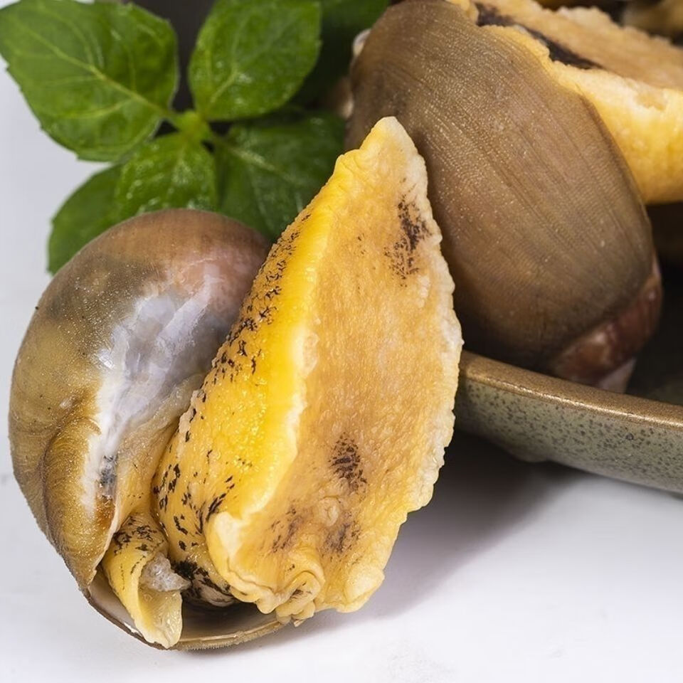 鲍螺老婆脚假鲍鱼鲜活无沙海蜗牛熟冻带壳大脚螺网红新鲜海鲜贝类 一