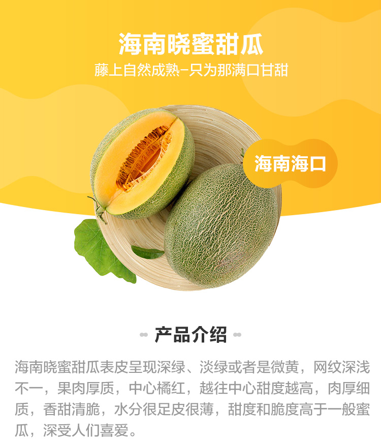 德克拉旗舰店 海南晓蜜25号哈密瓜2个单果当季现摘哈密瓜新鲜水果西州