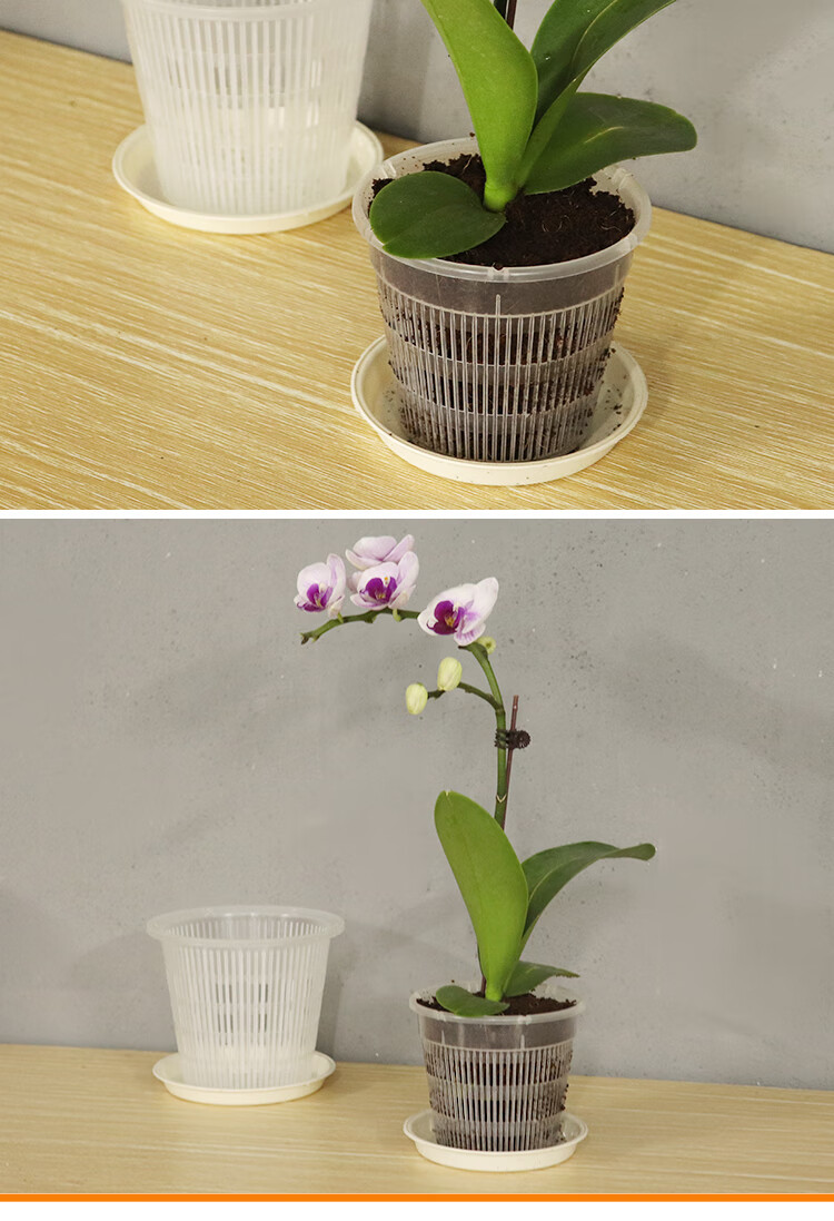 番易蝴蝶兰用控根盆塑料镂空疏水透气石斛盆多肉洋兰网文花盆白色110