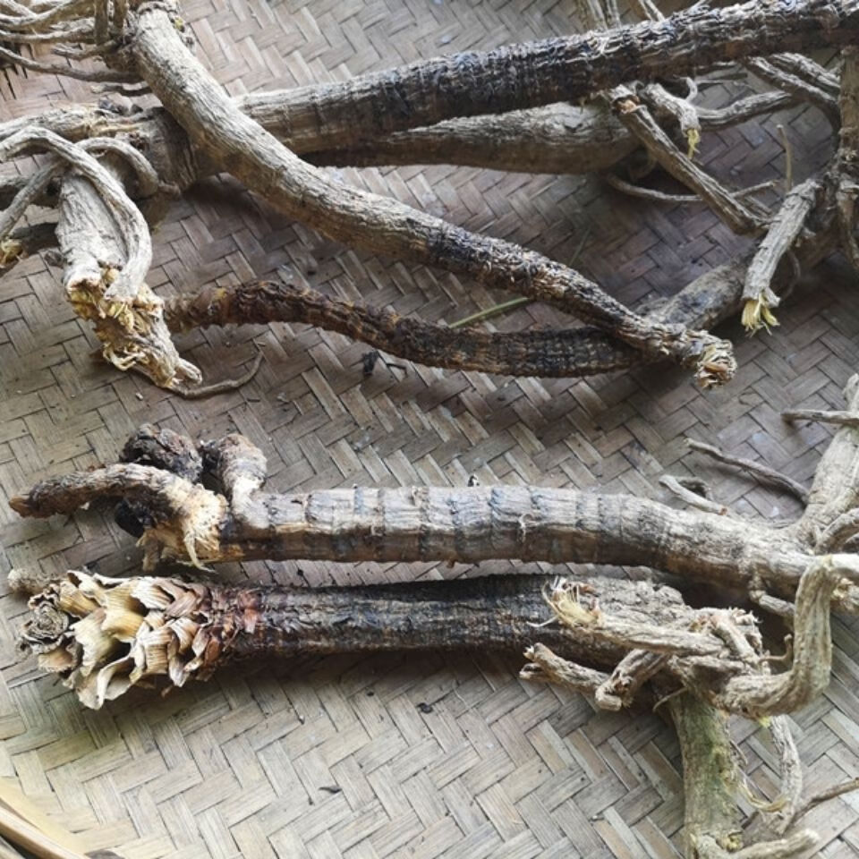 康中尊 贵州野外生岩川芎根干货500克 中药原材料岩防风野川芎光头