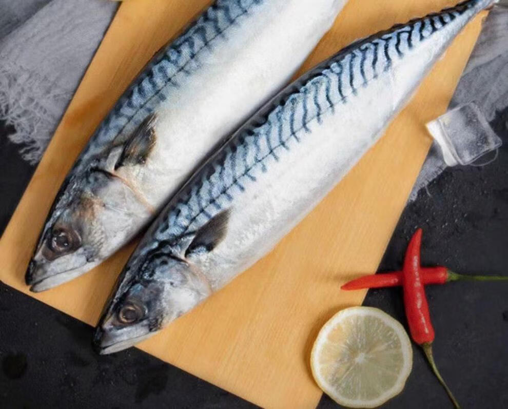 新鲜青占鱼鲐鲅鱼鲜活青花鱼鲐鱼片海捕冷冻海鱼海鲜水产斓维品5斤装