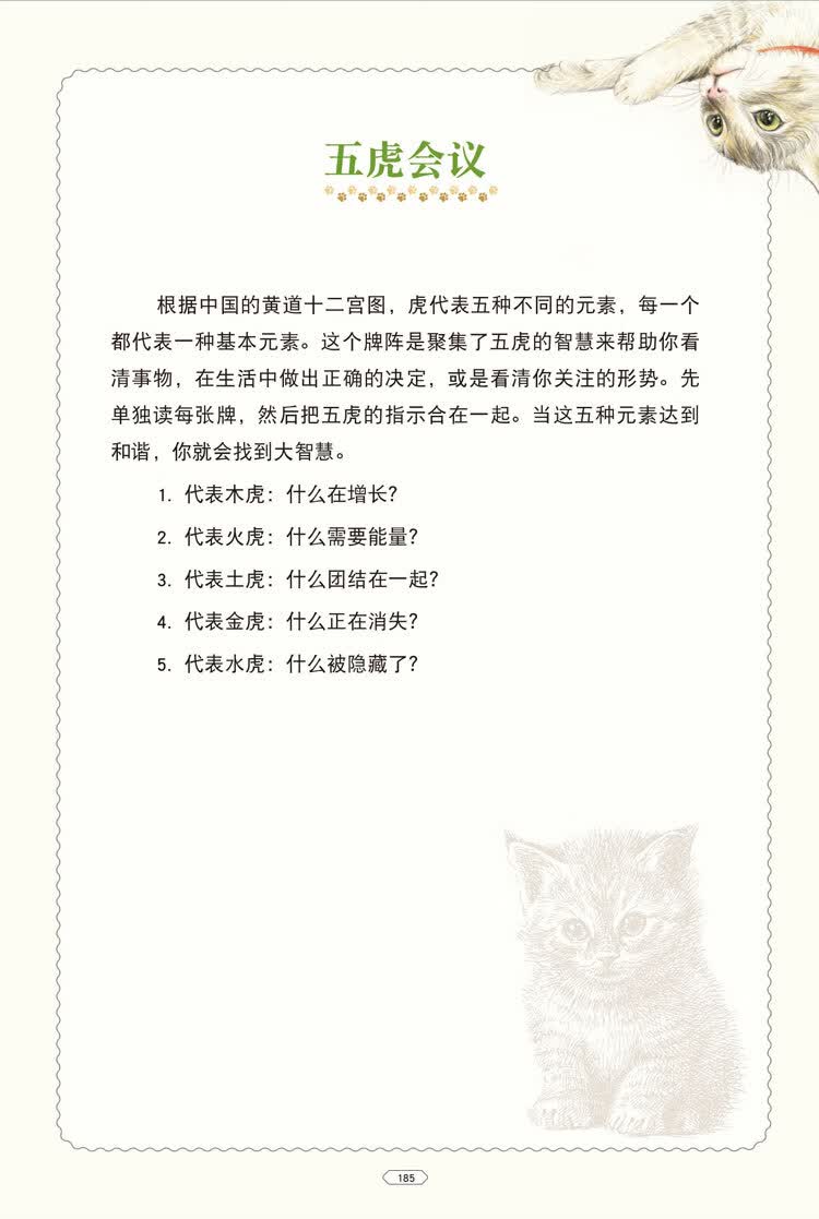 神秘的猫魅塔罗牌全套初学者原版引进说明书牌袋套装桌游猫魅塔罗牌