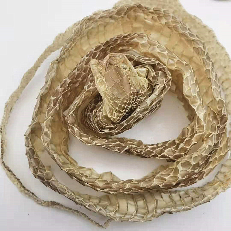 伟博精选龙衣蛇皮蛇壳一条长1.