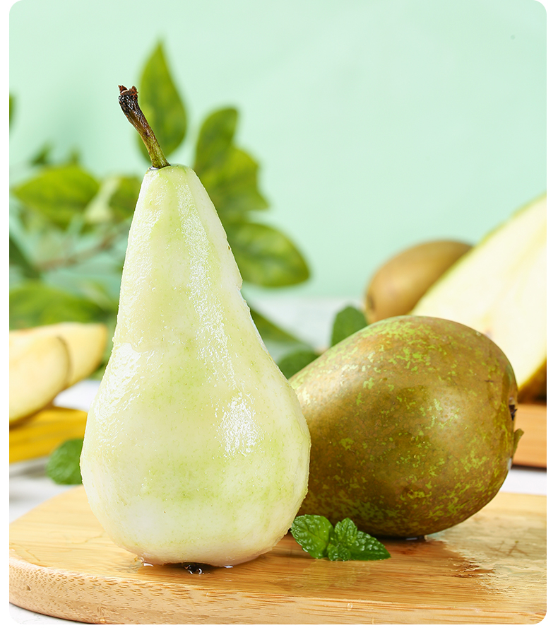 静乐鲜 啤梨子应当季新鲜水果冰糖软糯青梨大果顺丰 2000g 巨无霸单果