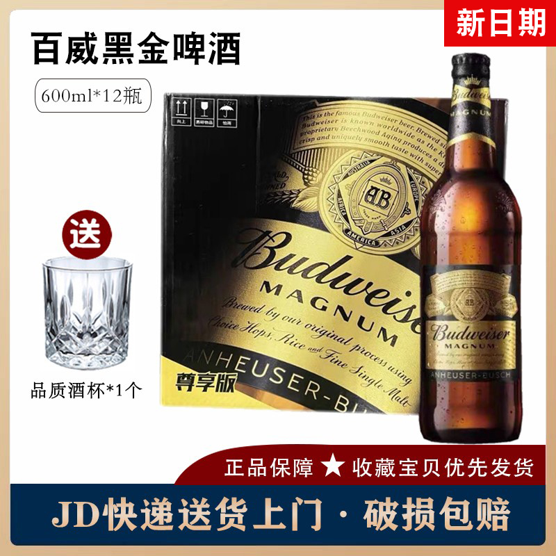 百威黑金啤酒高度数600ml12瓶整箱国产百威尊享版精酿啤酒共12瓶今年