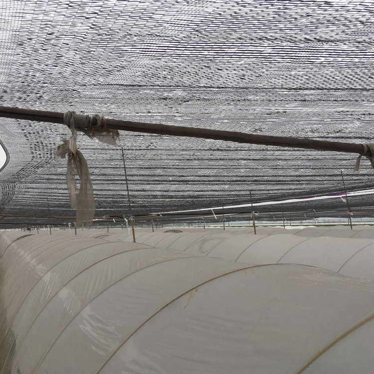 重楼遮阳网三七材老化平针平织蔬菜大棚大姜遮阳网 1米宽150米长/卷