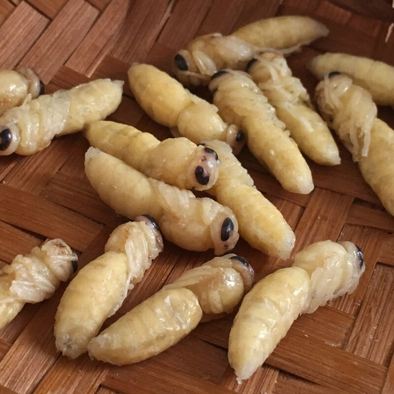 野生新鮮蜂蛹馬蜂雲南特產油炸即食葫蘆蜂擁幼蜂活體冰凍500g