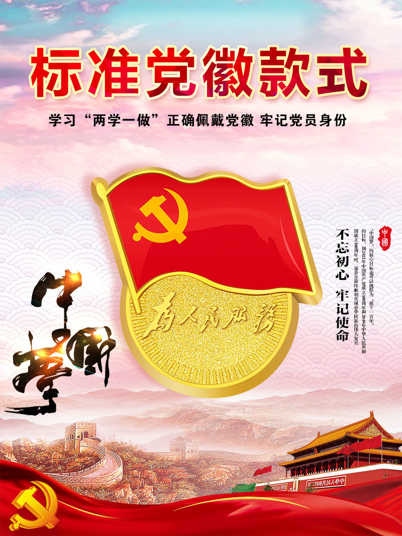 党徽标准型党员徽章组织部监制为人民服务安全真磁铁蝴蝶扣胸章牌