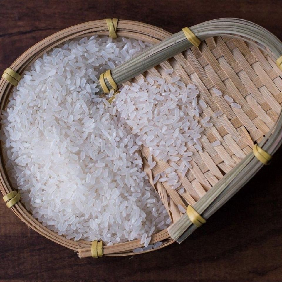 普康大米普康7号龙洋稻长粒香大米5kg新米东北大米长粒粳米10斤真空