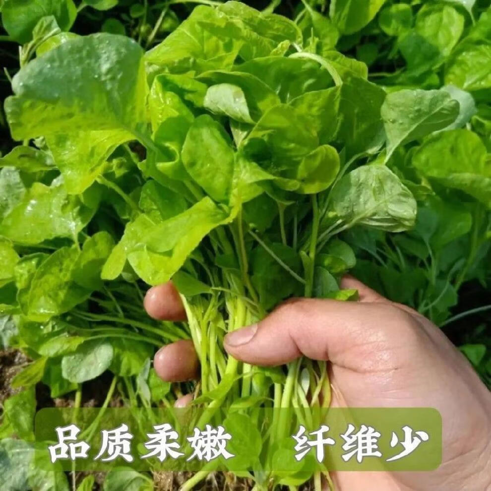 22a8510a45e5adea.jpg