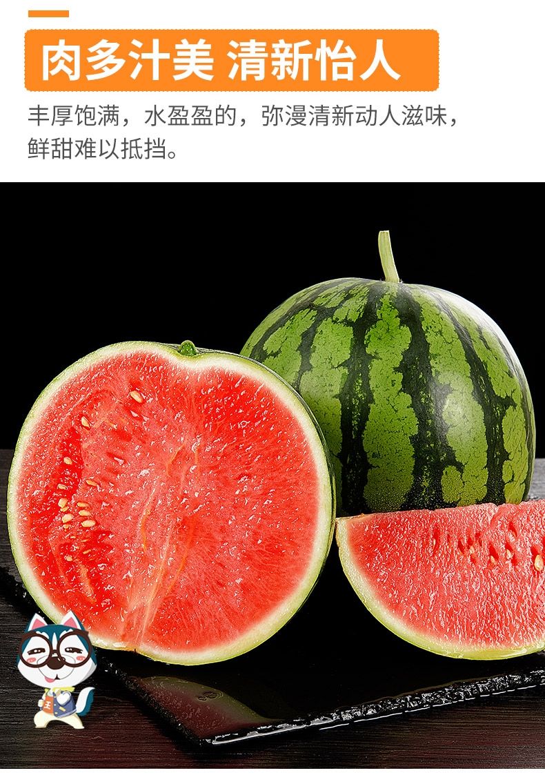 现货速发正宗8424麒麟西瓜当季皮薄无籽红瓤汁多爽口现摘现发孕妇新鲜