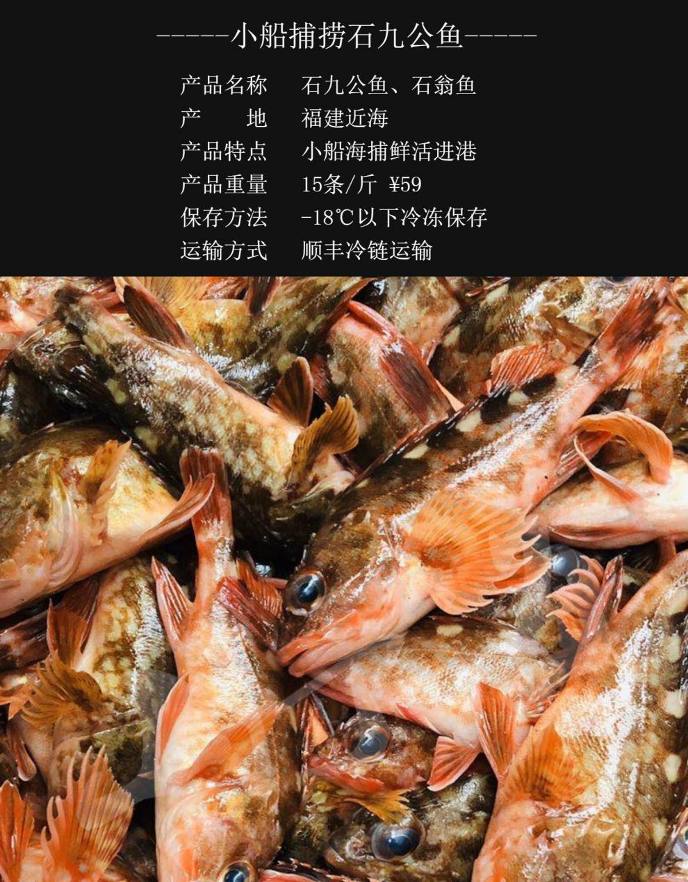 石九公魚 石翁魚鮮活虎頭魚補鈣小紅斑魚石斑魚新鮮