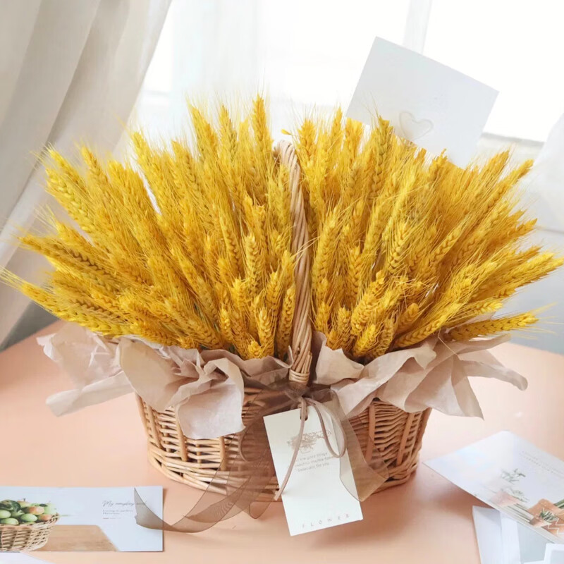 花芊茗鲜花速递大麦穗大麦花束礼盒送朋友客户乔迁用花迎宾开张庆典