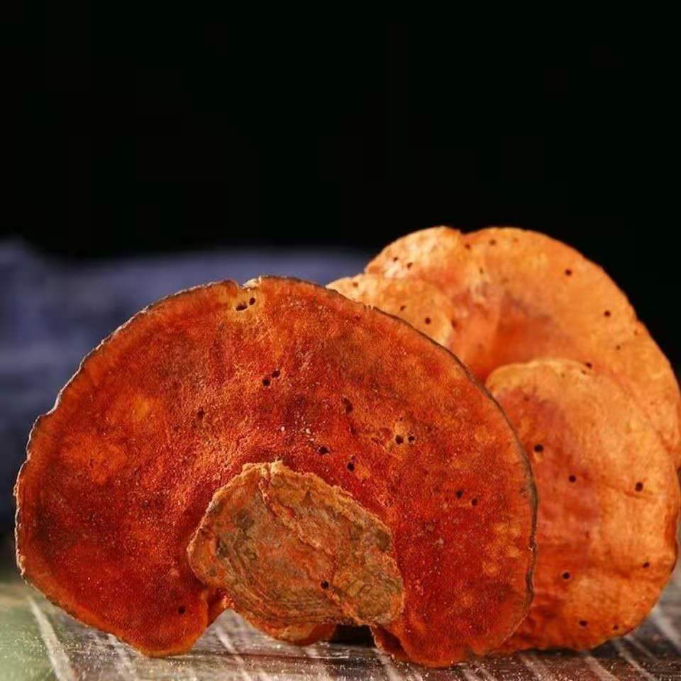 中药材野生牛樟芝,牛樟菇,红樟芝,货真价实大货