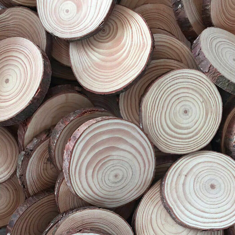 儿童diy手工模型自然材料小木片干树枝小木块盒装幼教环创成人 木片12