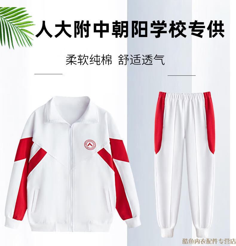 北京人大附中朝阳学校校服春秋外套春季长袖t恤夏季短袖t恤棉春秋款