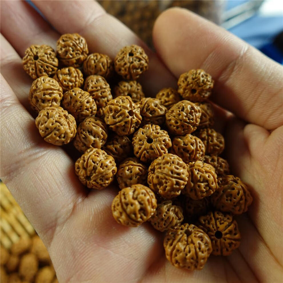 源清泉文玩【散籽】「南瓜双龙」微抛光五瓣小金刚菩提原籽玉化红文玩