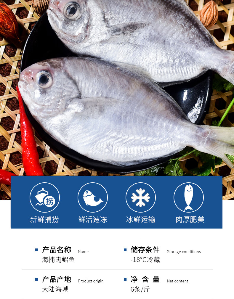 順豐無冰衣肉鯧魚新鮮冷凍5斤深海魚類海昌魚平魚鯧鯿魚倉魚譯蒙之味8